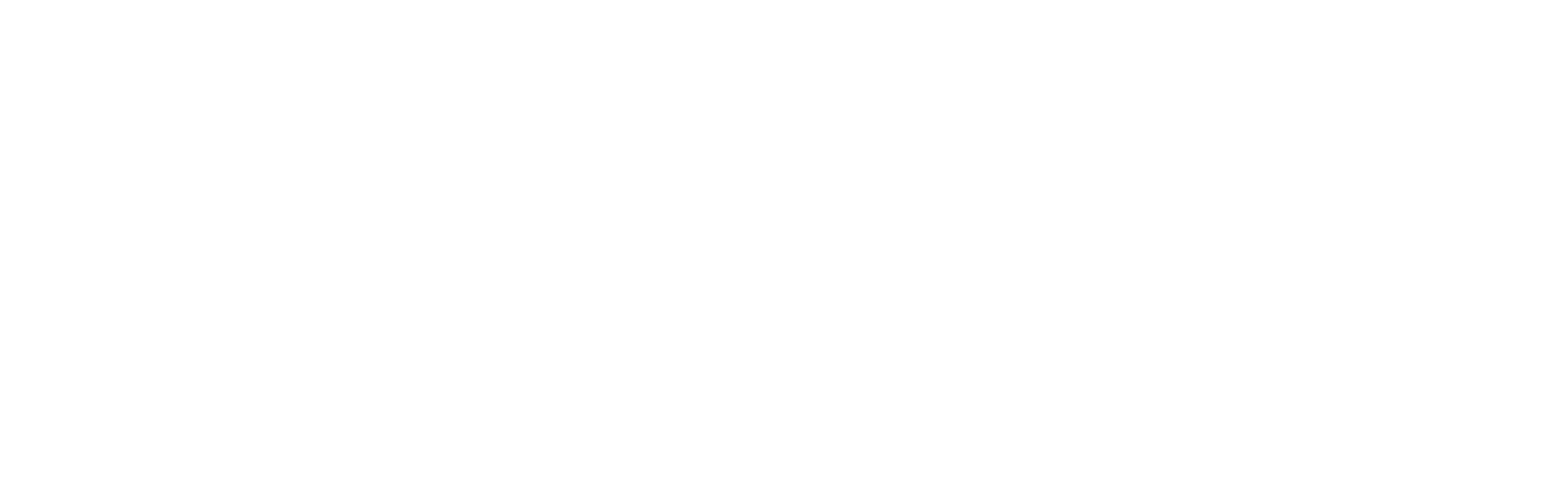 VIPetPlan_BySnout-white