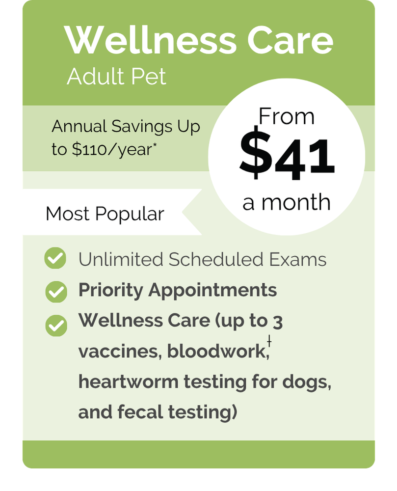 St Francis Springdale VIPet Plan_pricing_Wellness_Modern